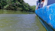 25 - Tortuguero NP (01)
